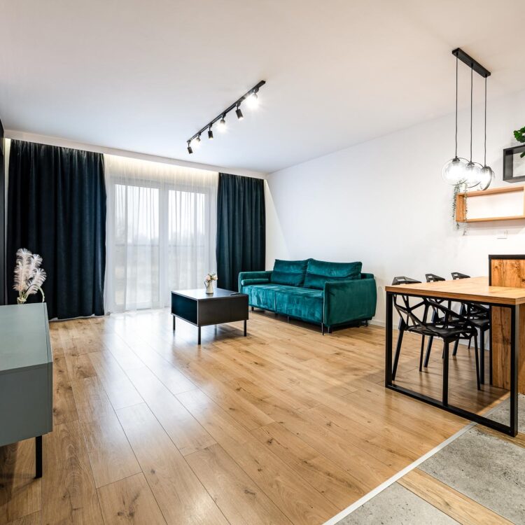 Salon widziany z wejścia – zdjęcie wnętrza mieszkania w Dąbrowie Górniczej.