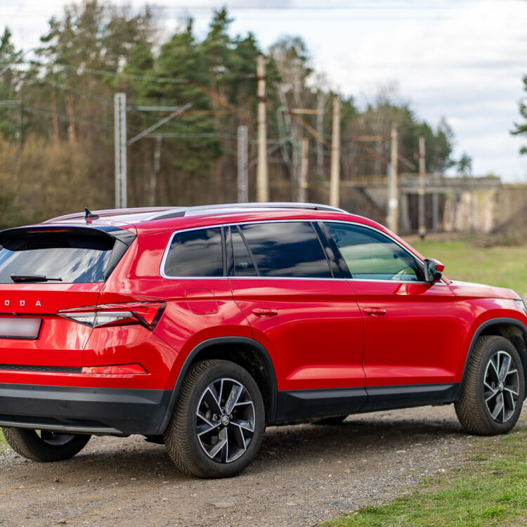 Skoda Kodiaq 2022 w plenerze – bok i tył